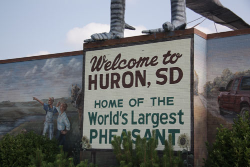 World’s Biggest Pheasant