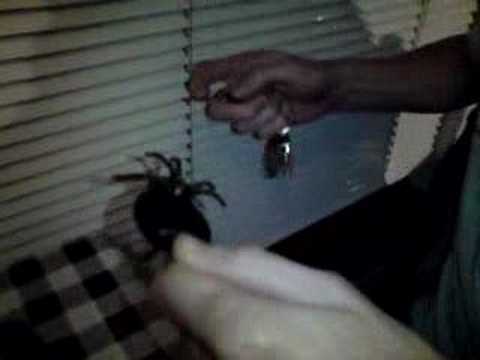 Mental torture is fun!