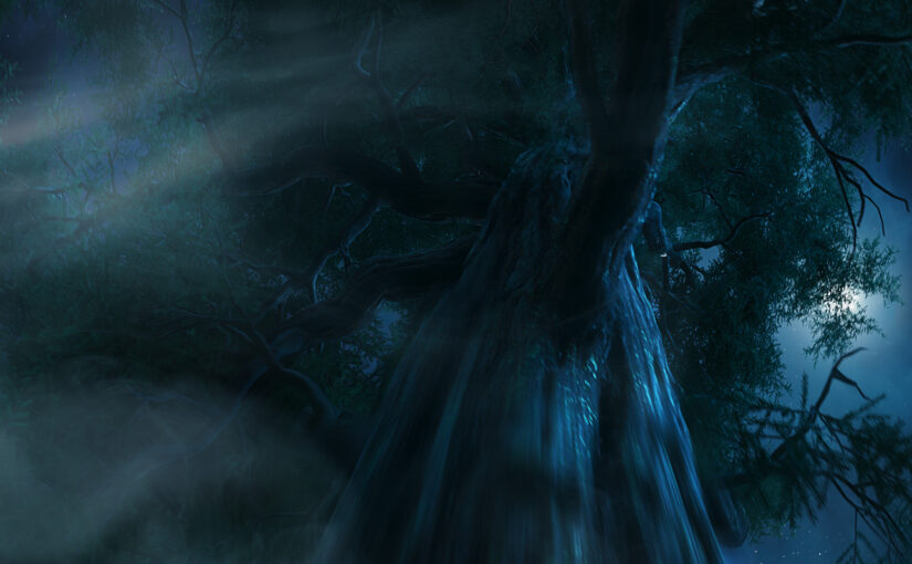 The Twilight Saga: Bella’s Journey